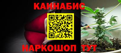 бошки Шебекино
