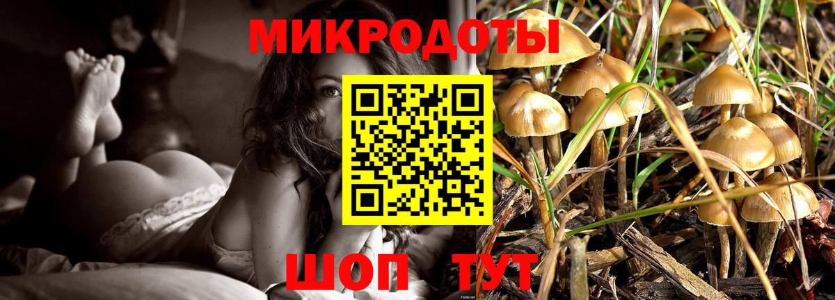 Аргун  Псилоцибиновые грибы GOLDEN TEACHER  Вход с VPN 